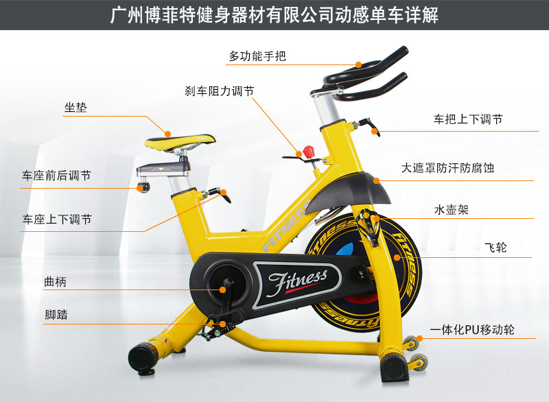 丝瓜下载APP商用动感单车